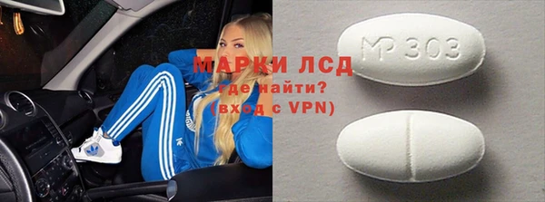 СК Ельня
