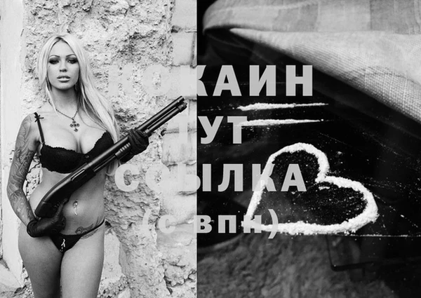 метадон Алексин