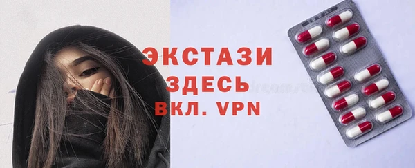 СК Ельня