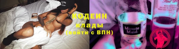 метадон Алексин
