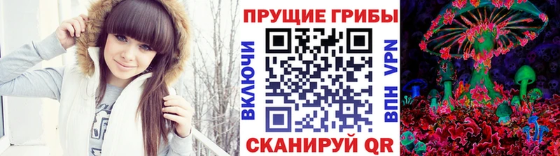 где продают наркотики  блэк спрут ТОР  Псилоцибиновые грибы ЛСД  Малмыж 